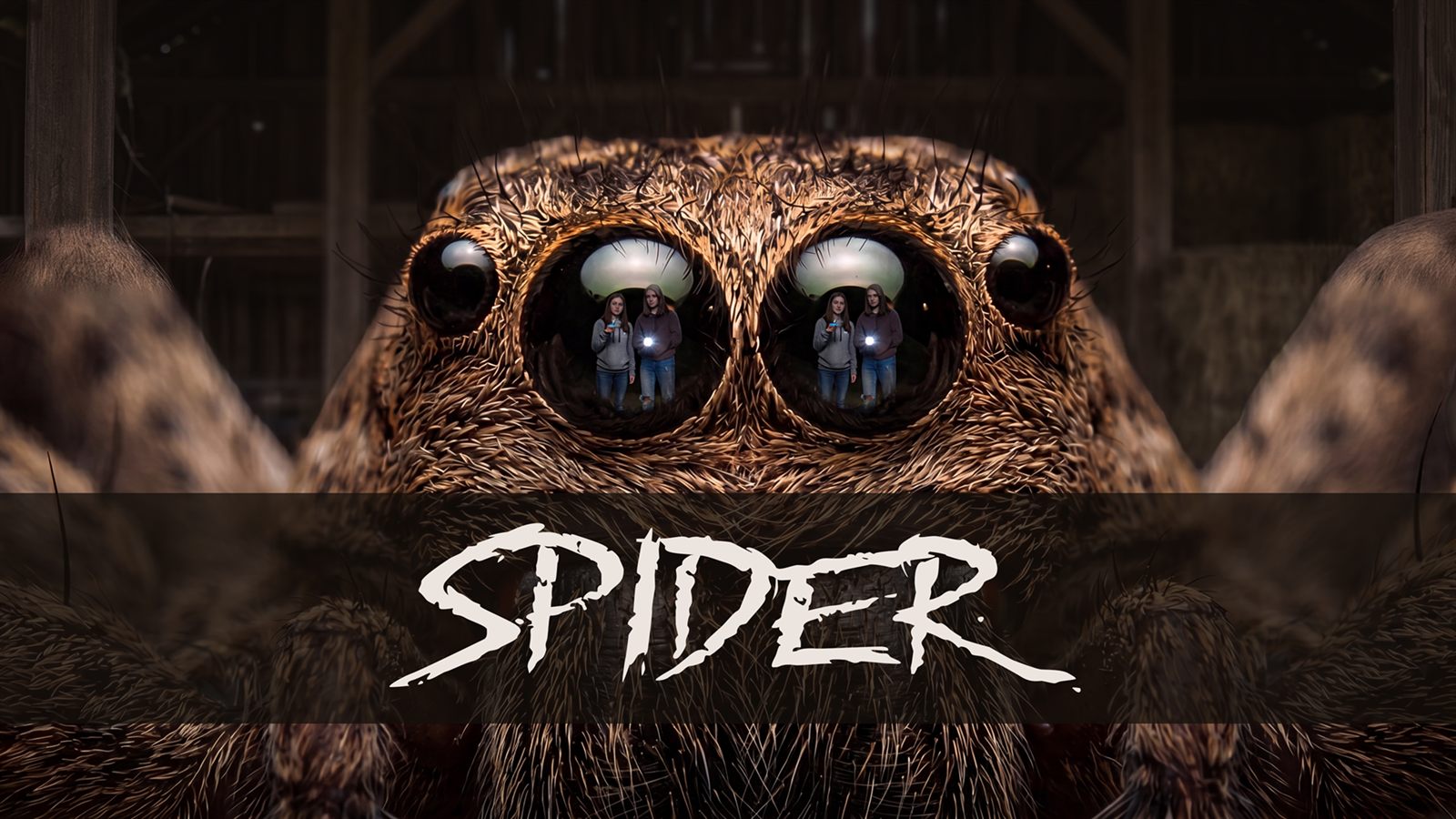 Still from Spider